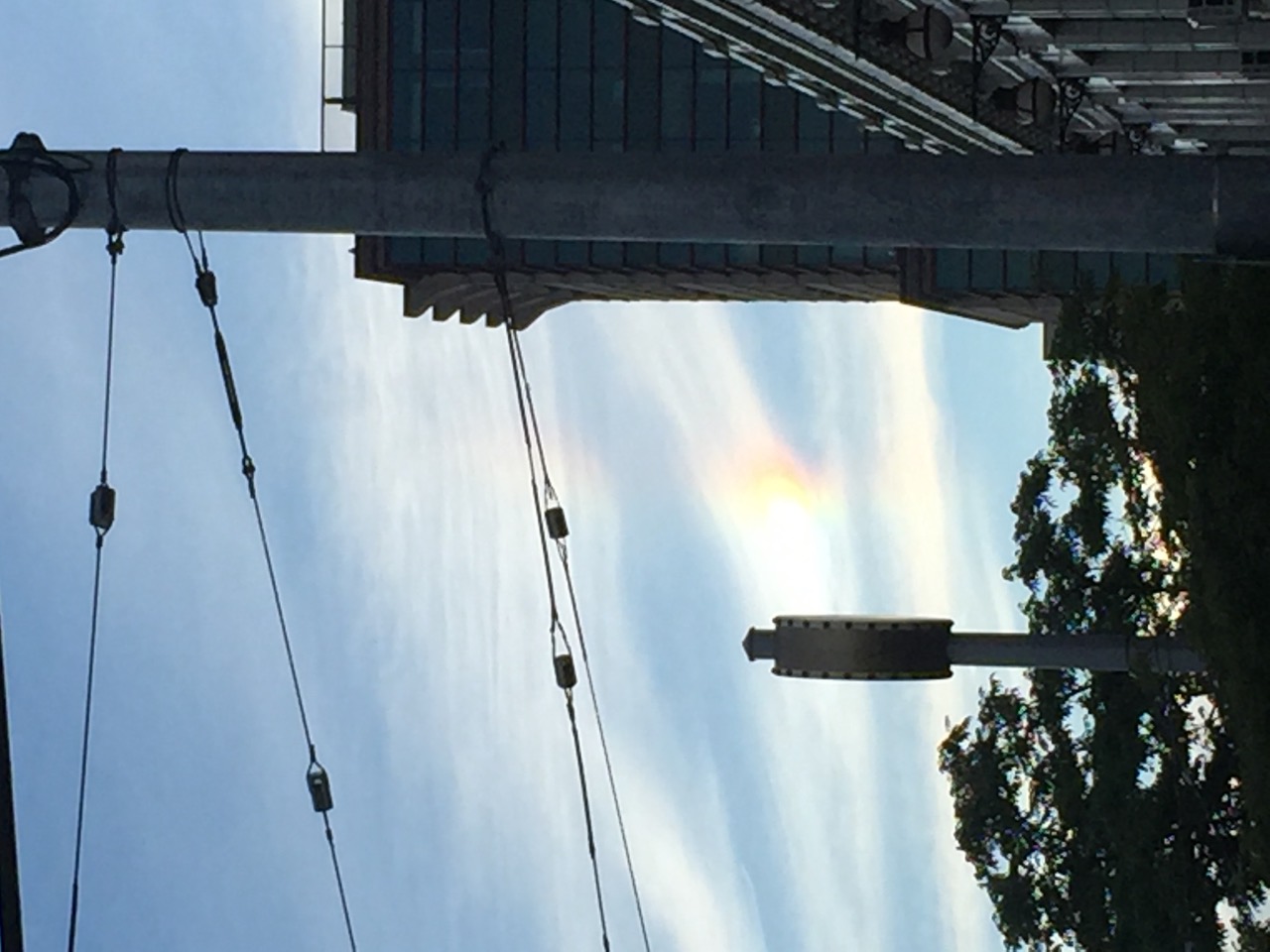 IMG_7768.jpeg