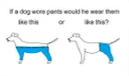 IMG_5703.png