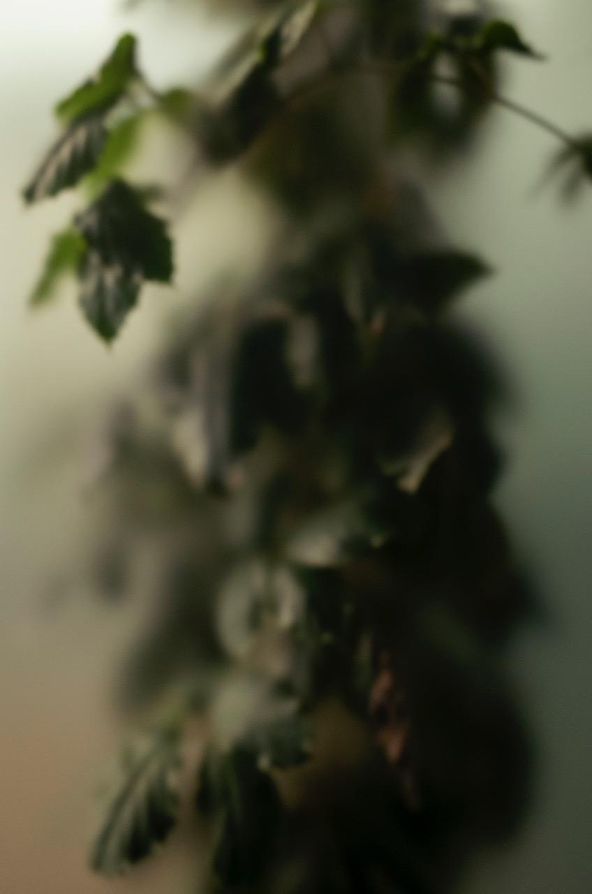 R0005980.jpeg