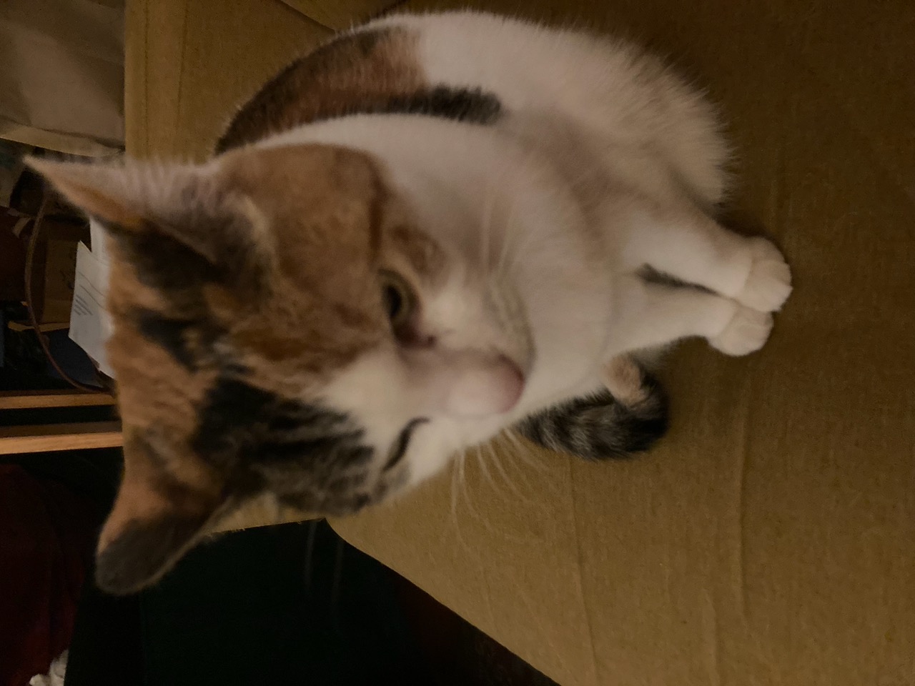 IMG_9228+2.jpeg