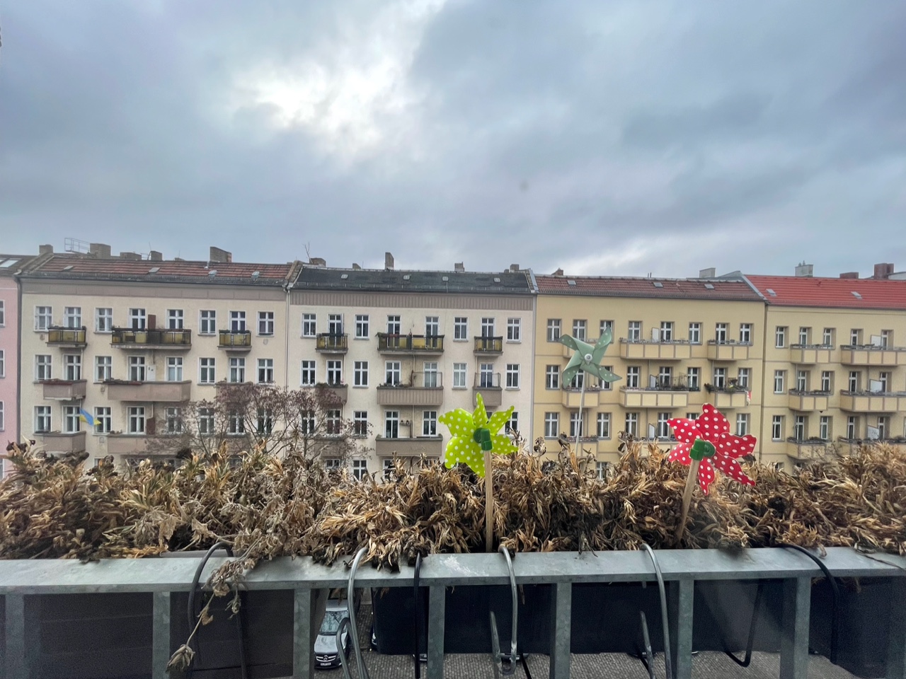 IMG_0979+2.jpeg