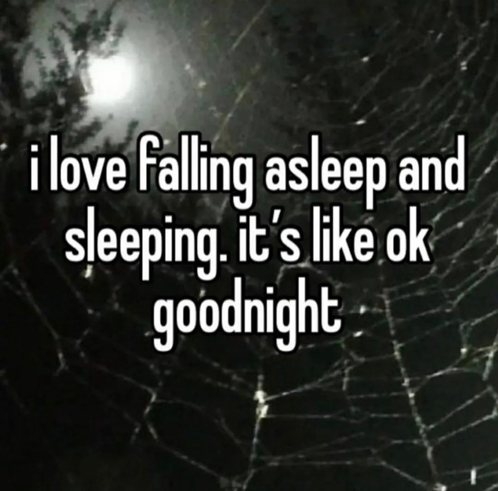 tumblr_70fbace1b901ea758568aa20a3c796a6_486b6f8e_1280.jpeg
