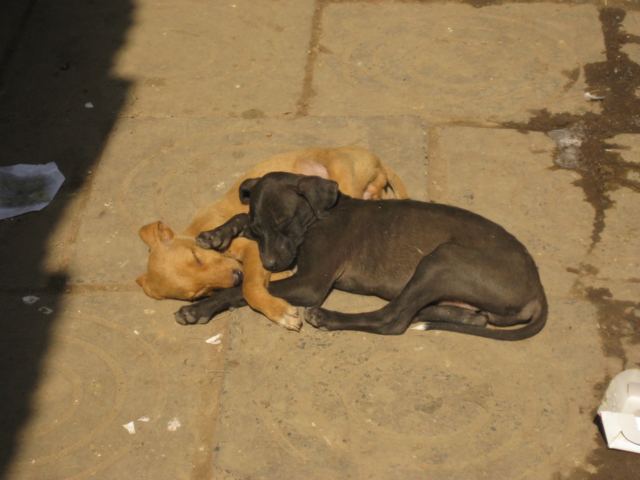 IMG_0033+2.jpeg