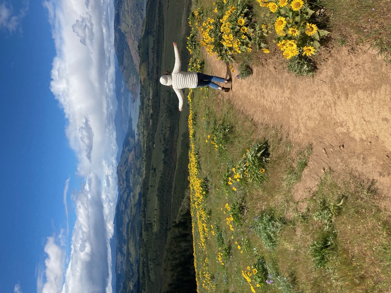 IMG_3124.jpeg