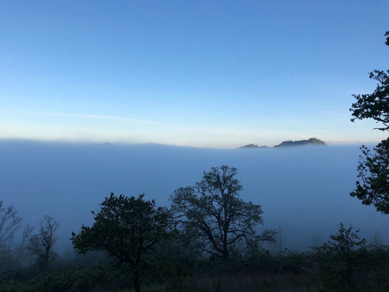 IMG_6906.jpeg