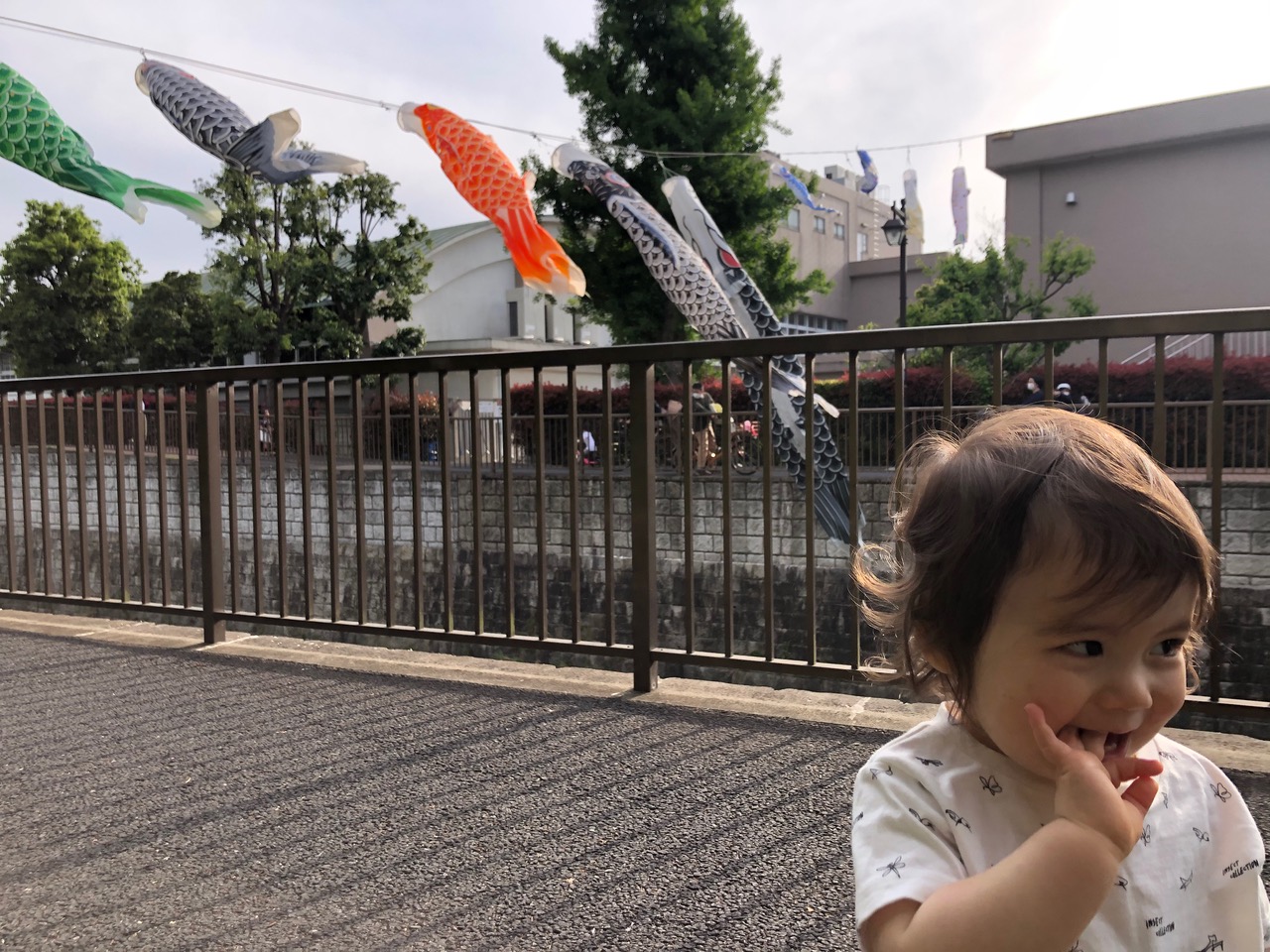 IMG_7969.jpeg