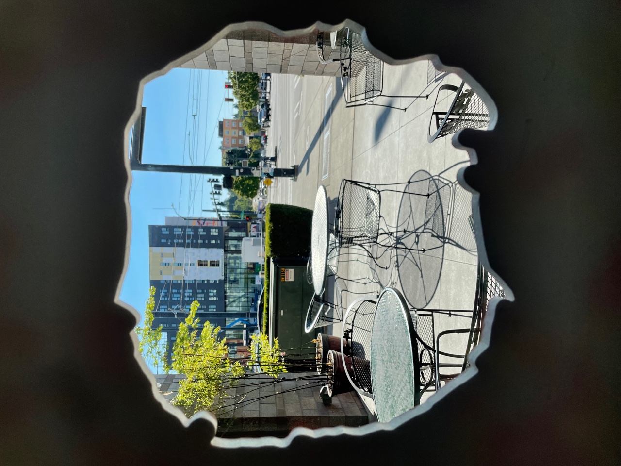 IMG_1901.jpeg