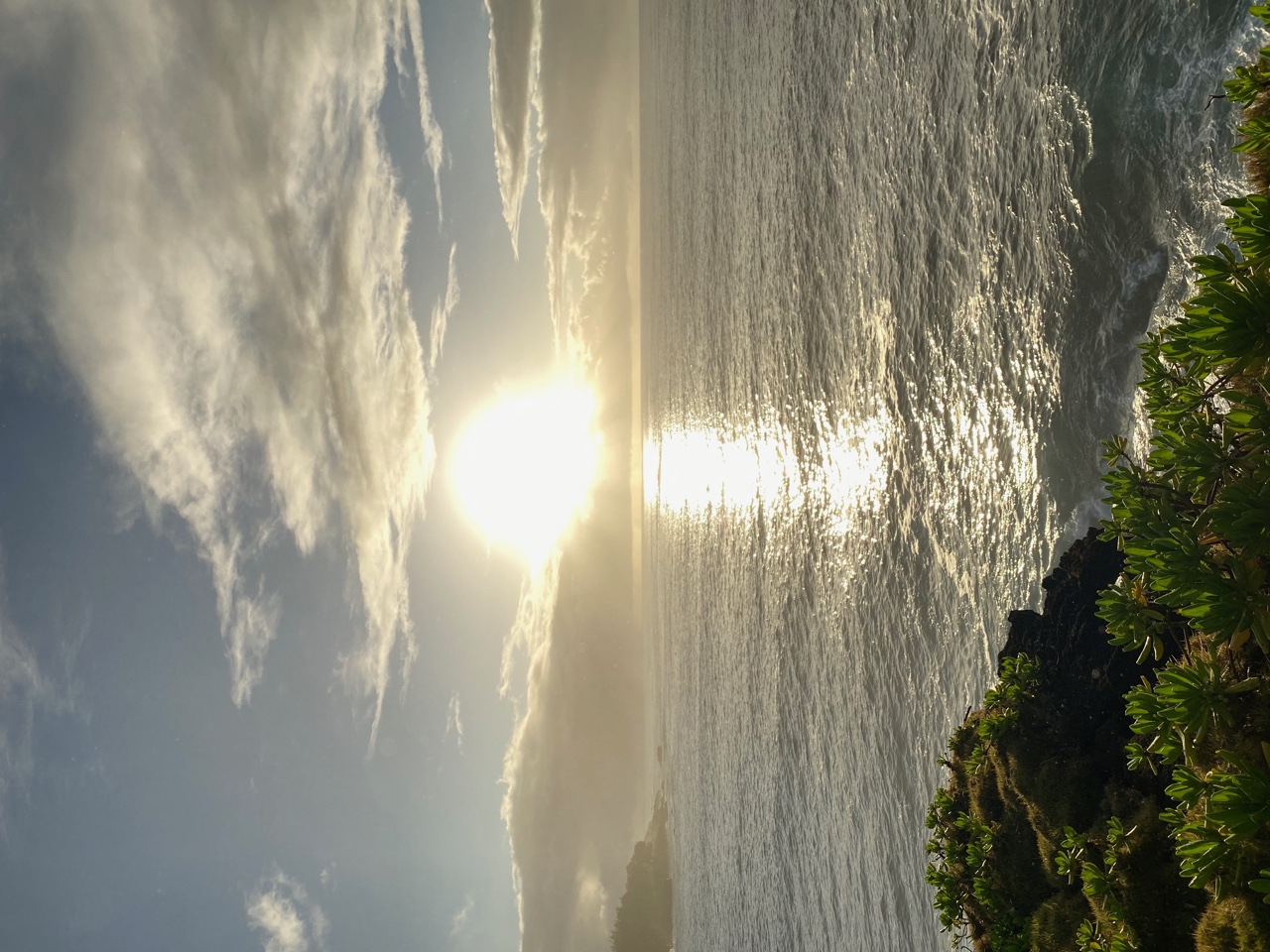 IMG_6442.jpeg