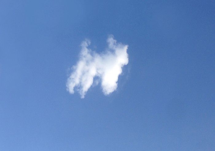 this-dog-shaped-cloud-reminds-us-that-dogs-are-a-gift-sent-from-heaven-03+%281%29.jpg