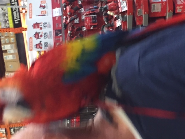 image1+3.jpeg