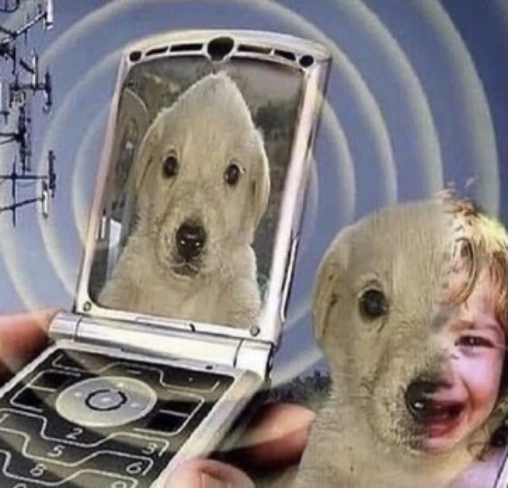 FINmtFVXIAAJFl-.jpeg