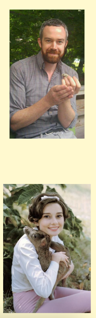 Screen+Shot+2022-01-02+at+11.24.17+AM.png
