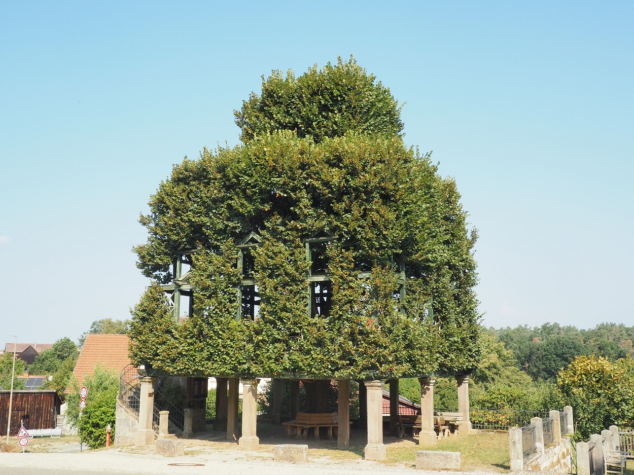 Stufenlinde+Peesten.jpg