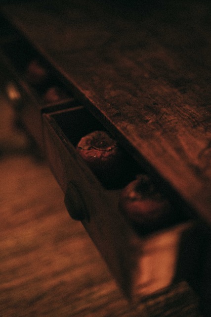 DSC01730.JPEG