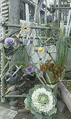 d201231-4.jpg