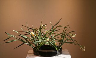 d210104-1.jpg