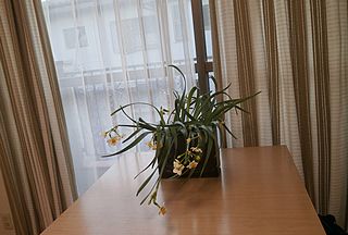 d200106-3.jpg