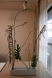 d270309-1.jpg