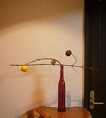 d271228.jpg