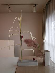 d280606-1.jpg
