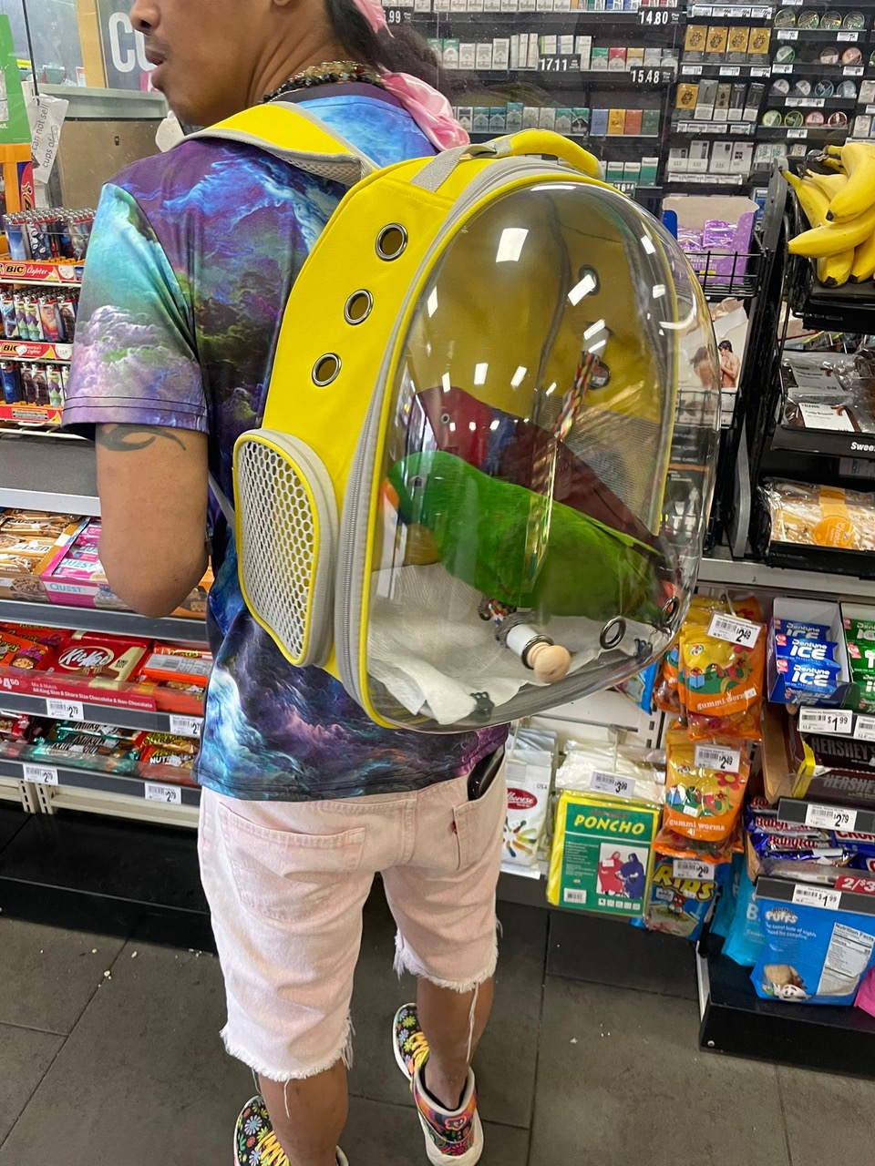 FXLsSghXoAI9JCd.jpeg