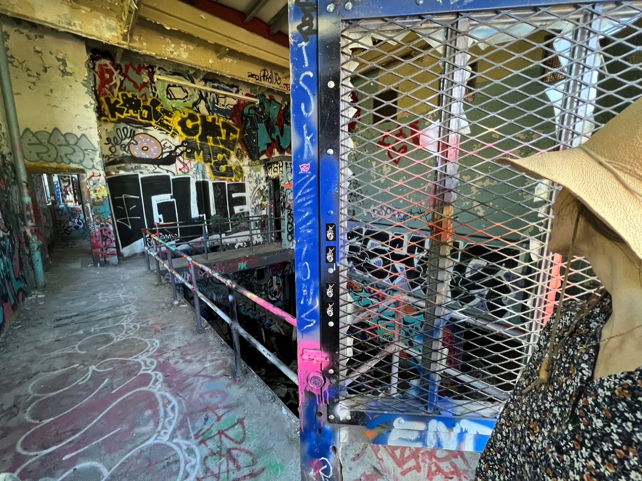 IMG_8004.jpeg