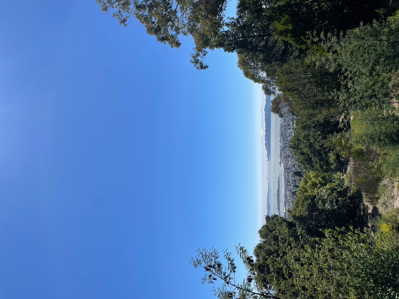 IMG_6206.jpeg