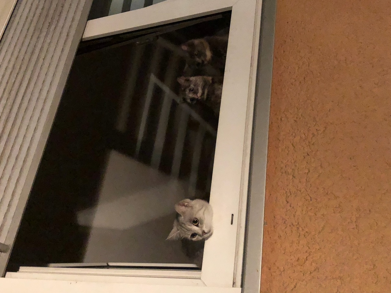 IMG_7191.jpeg