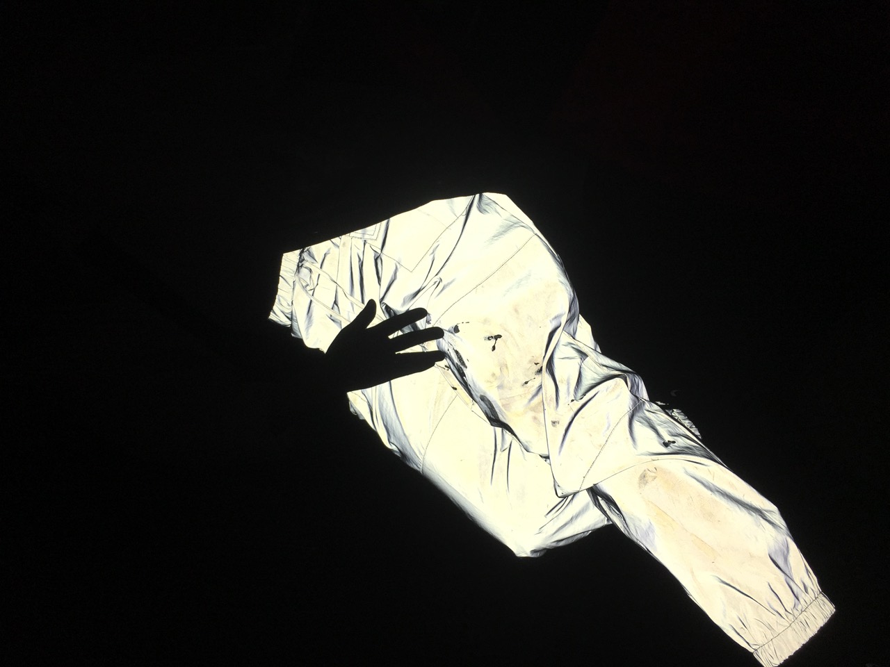IMG_1521.jpeg