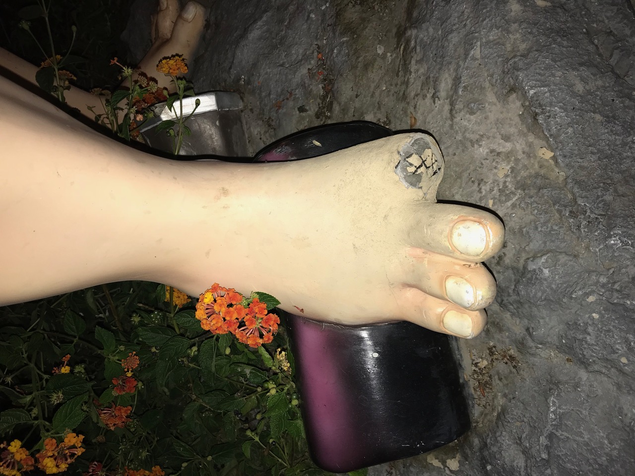 IMG_7565.jpeg