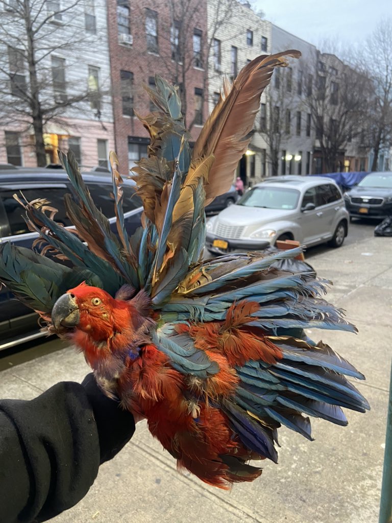 FOkcwjgXwAUH4JL.jpeg