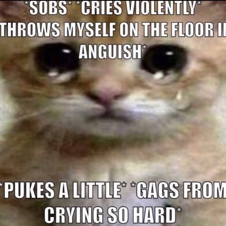 FPS2uMzX0AY2Bv0.jpeg