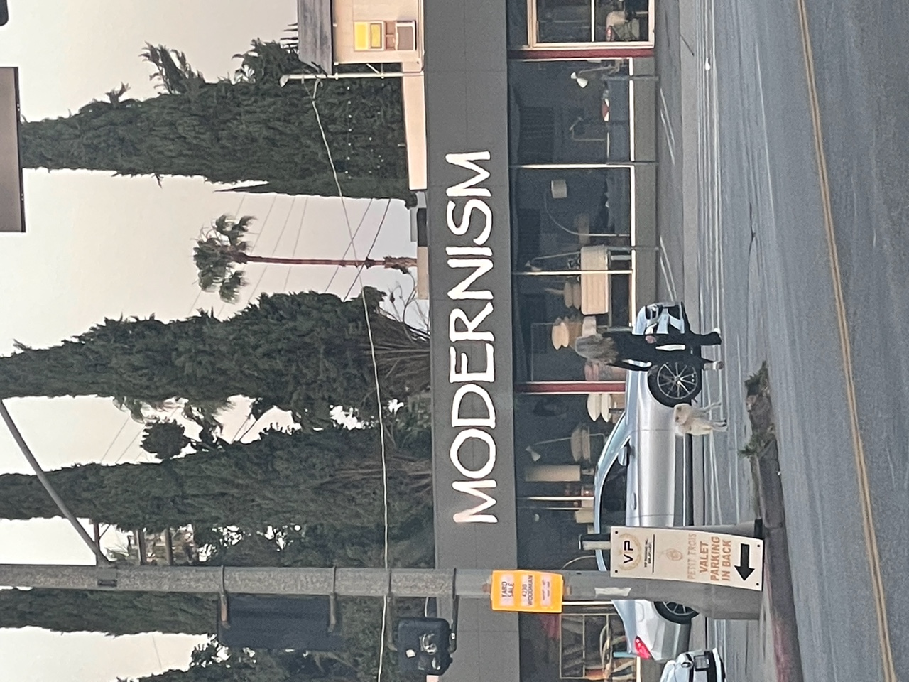 IMG_2030+3.jpeg