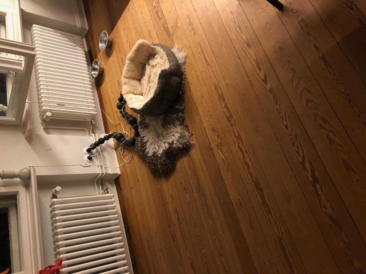 IMG_8980.jpeg