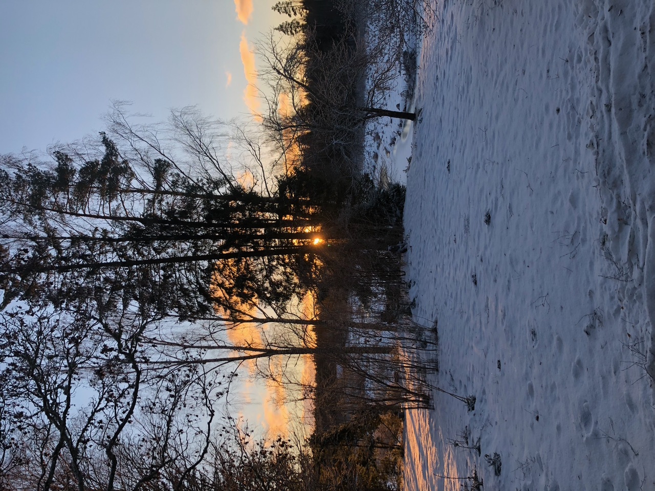 IMG_0482.jpeg