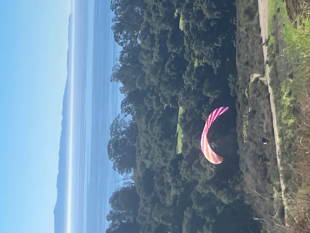 IMG_1386.jpeg
