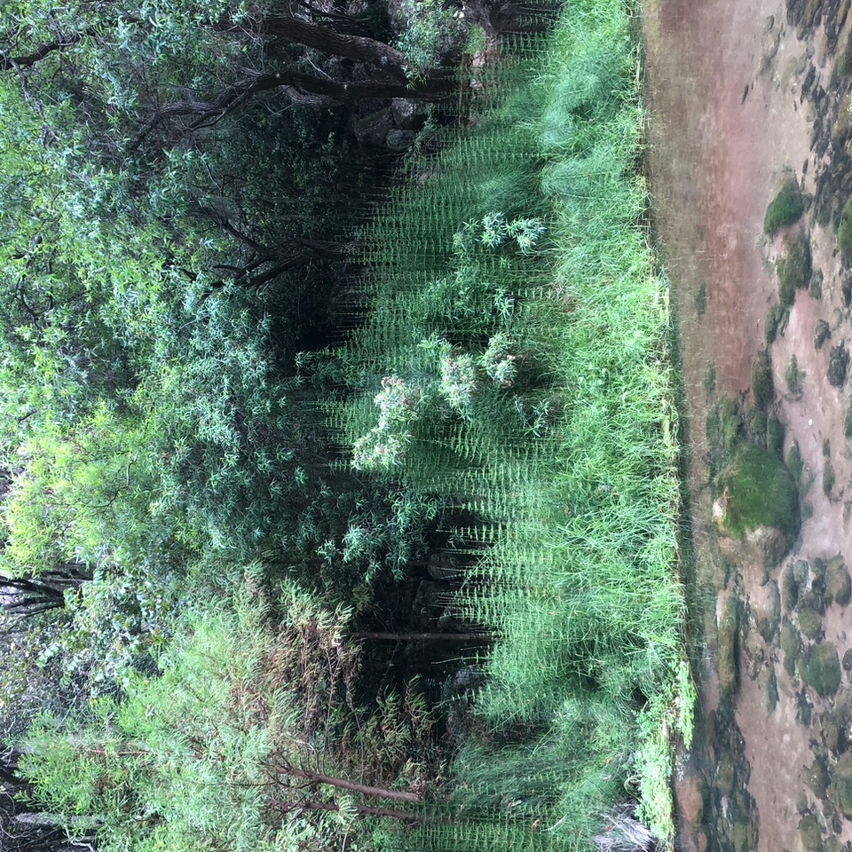 IMG_4092+3.jpeg