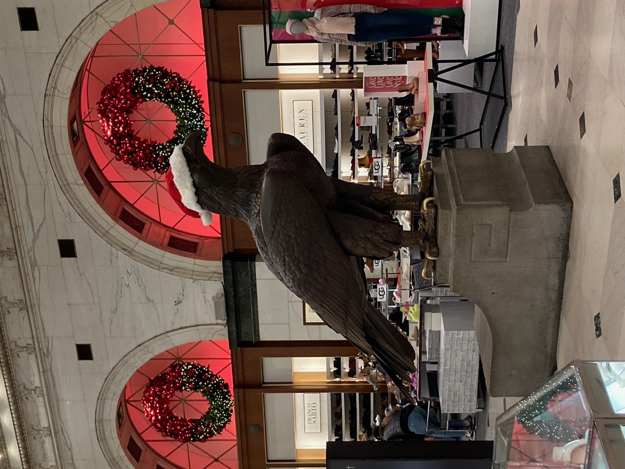 IMG_8845.jpeg