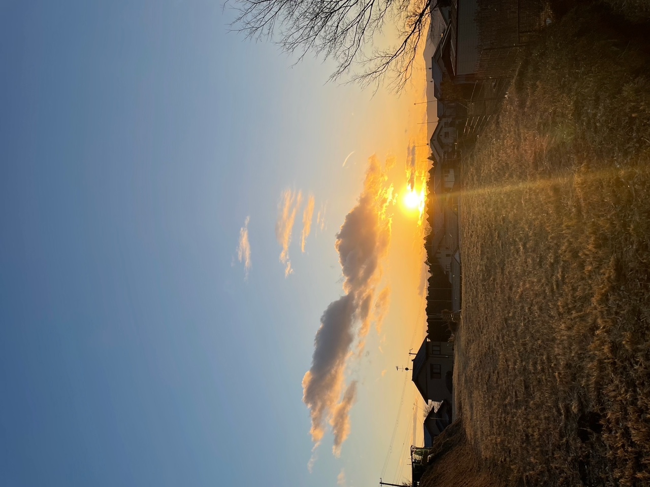 IMG_7912.jpeg
