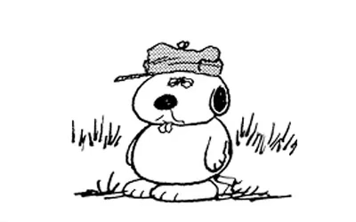 IMG_7800.png