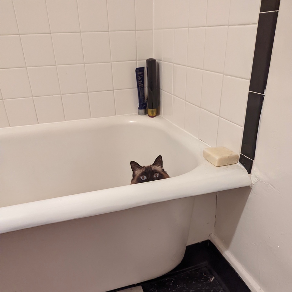 PXL_20211207_190745345.jpeg