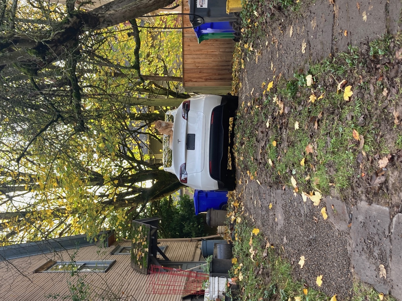 IMG_5664.jpeg