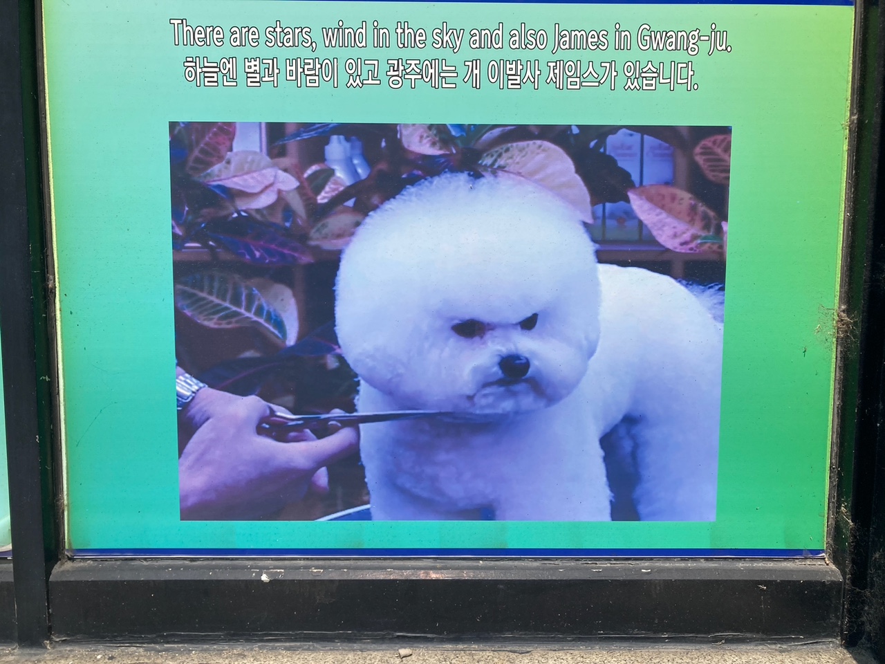 IMG_5360.jpeg