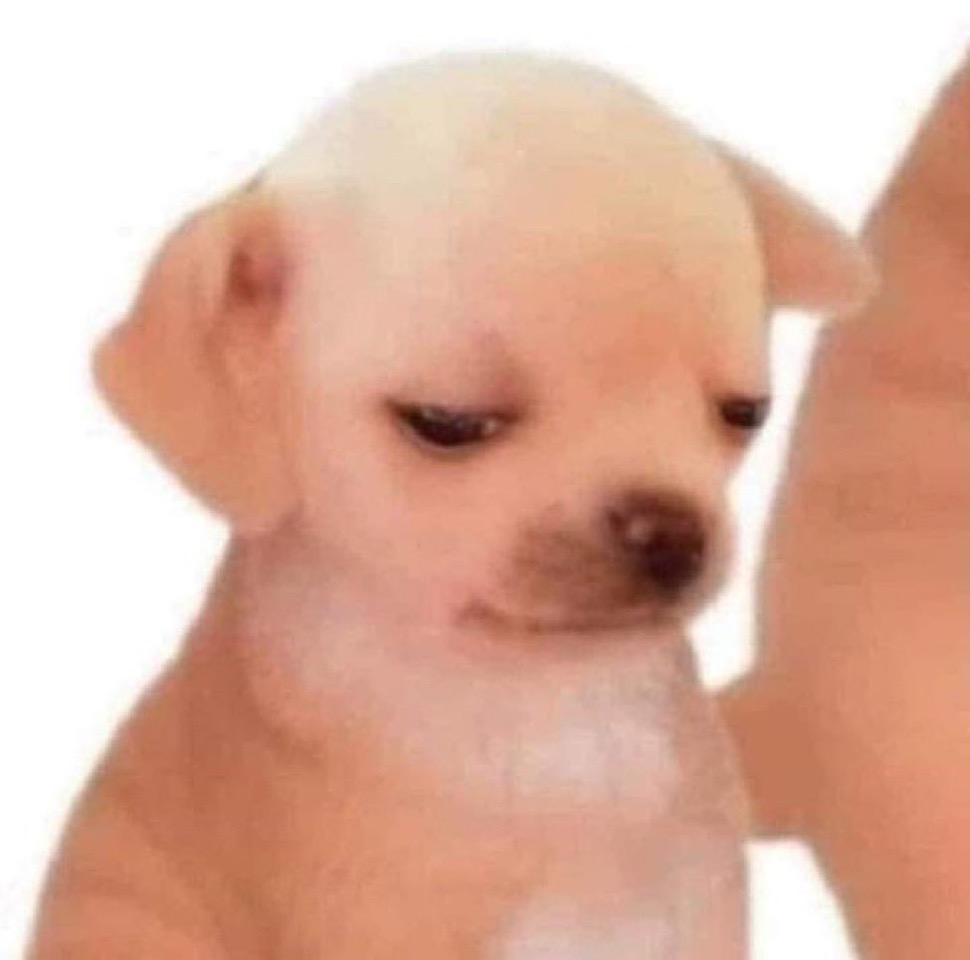 E87BKMRUUAQohiK.jpeg