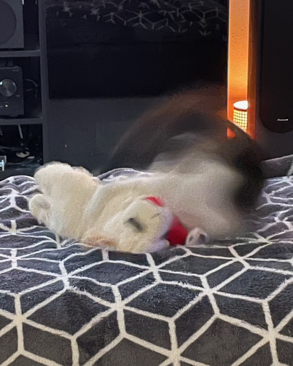 IMG_1426+2.jpeg