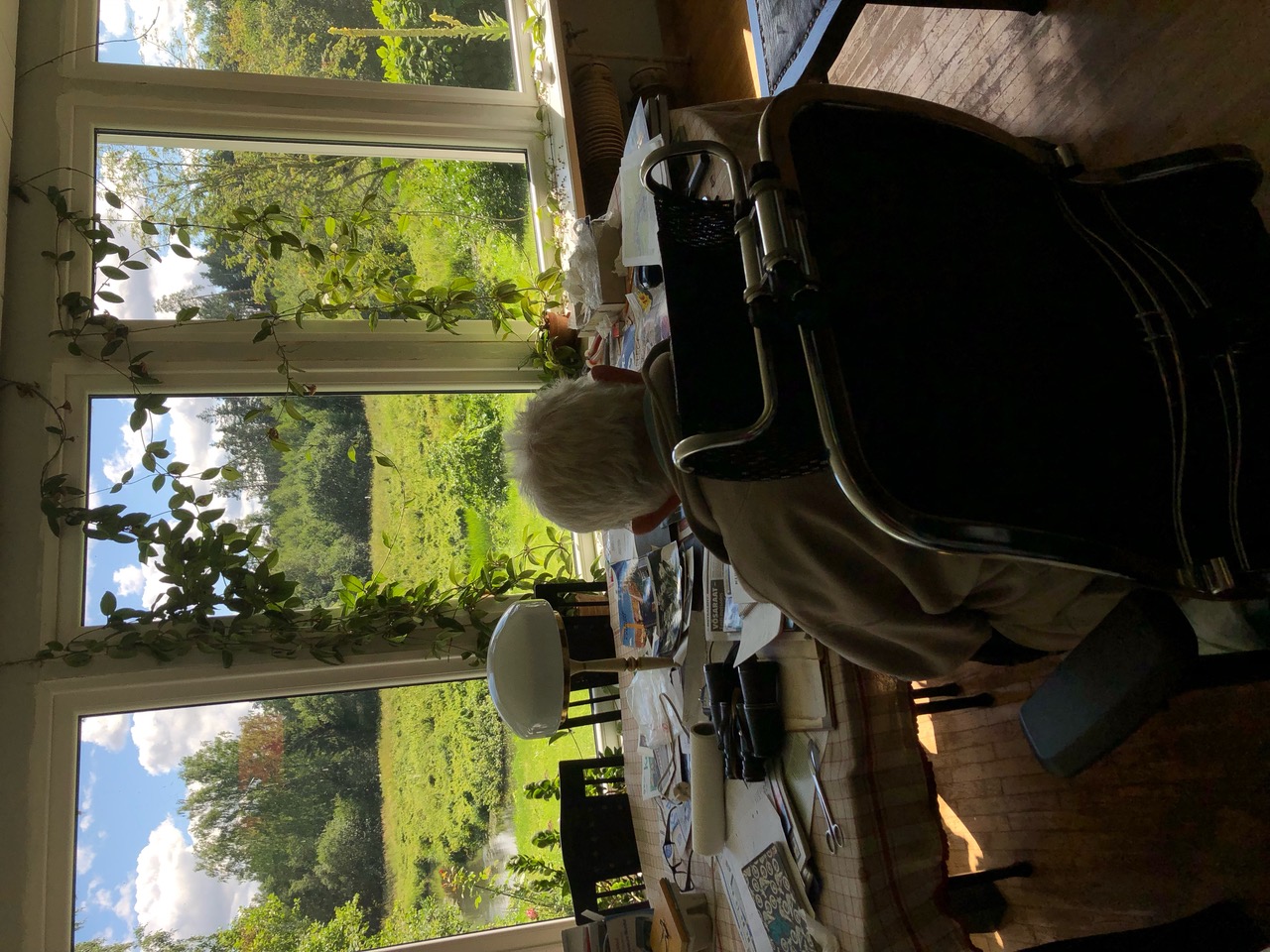 IMG_8334.jpeg