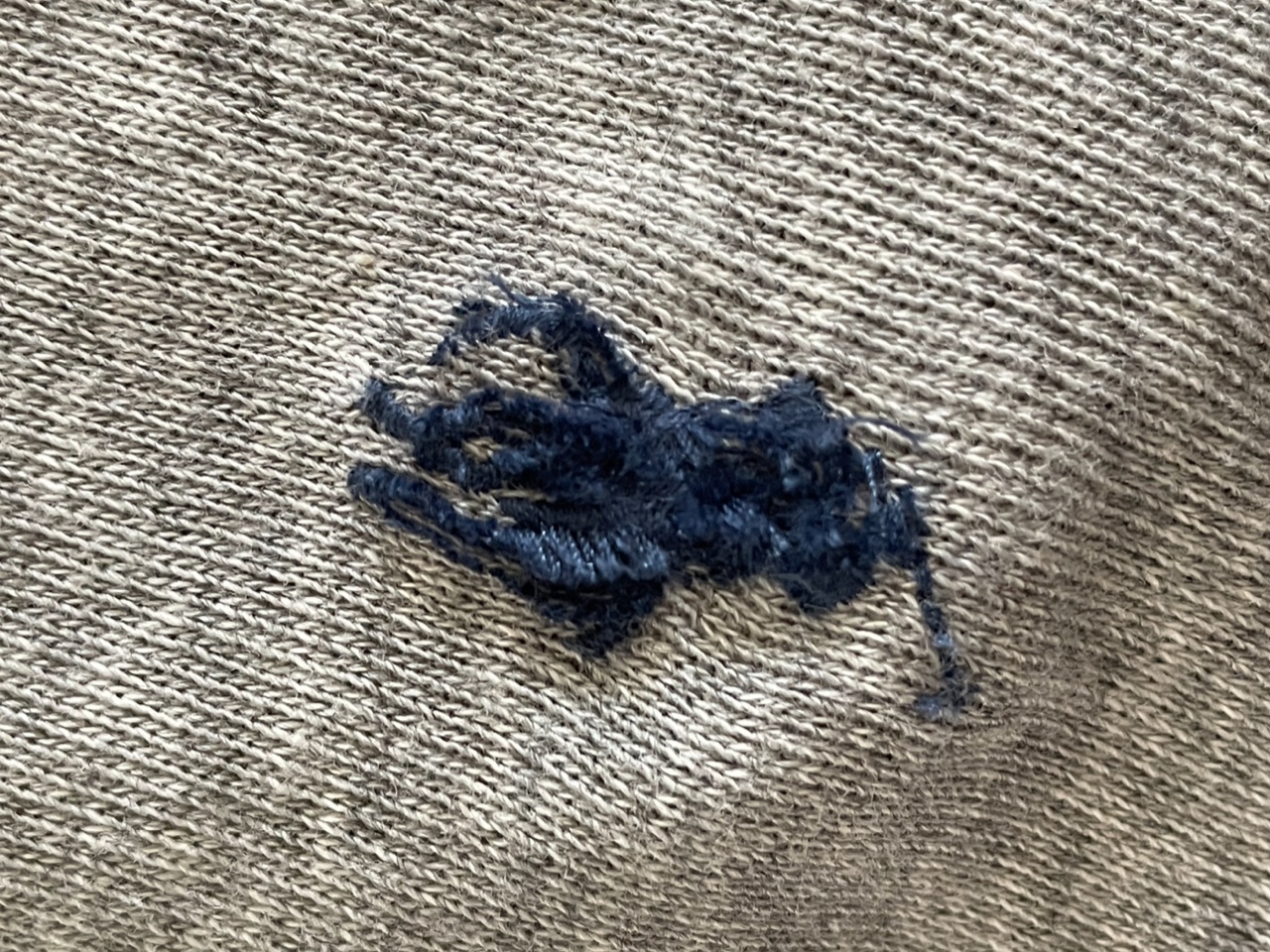 IMG_4952.jpeg
