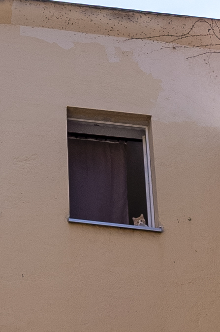 R0007723.JPG