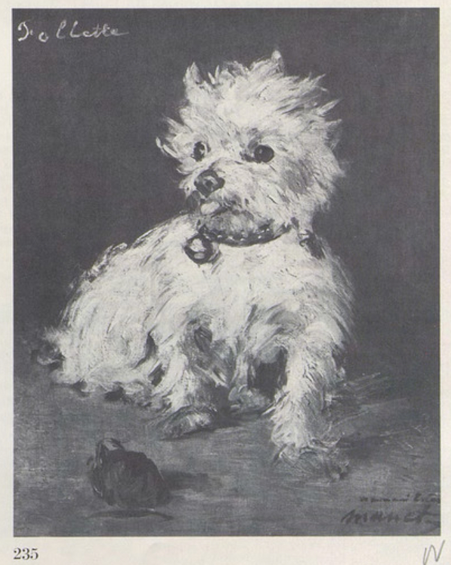 manet-chien-follette-1875-rw235-37x30cm.jpg