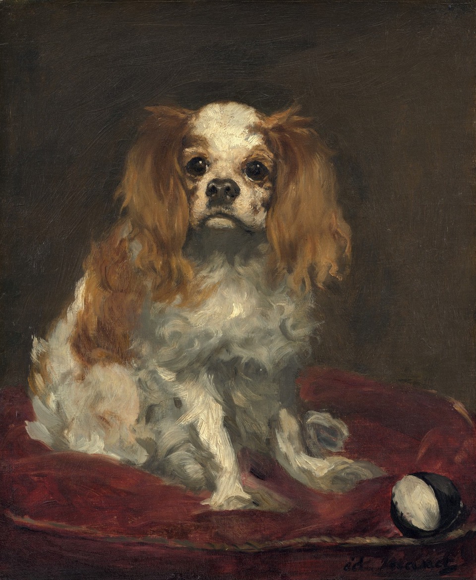 manet-king-charles-spaniel-nga1970.17.36.jpeg